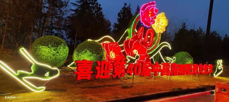 洛陽(yáng)牡丹花會(huì)發(fā)光造型